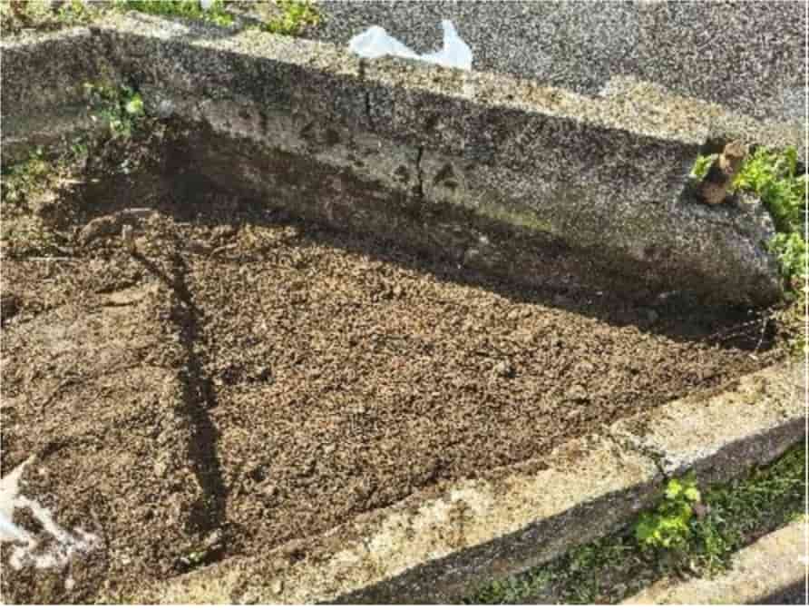 10センチほど掘削