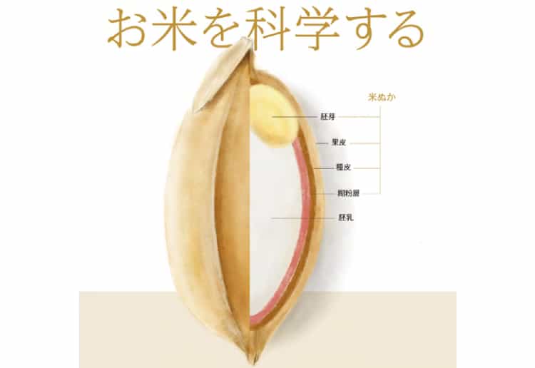 米ぬかは、夢が詰まった副産物