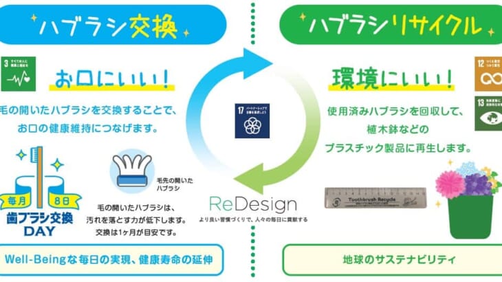 使用済みハブラシの回収・リサイクル