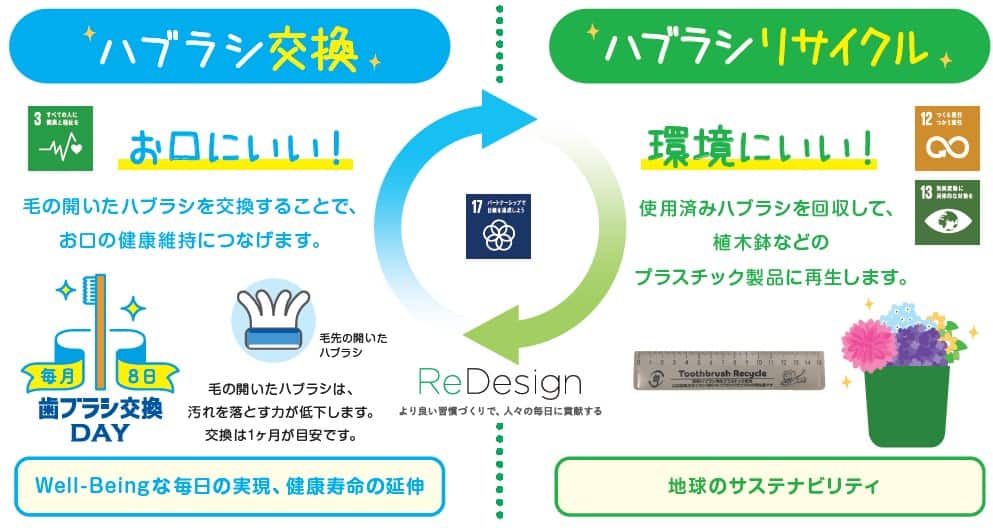 使用済みハブラシの回収・リサイクル